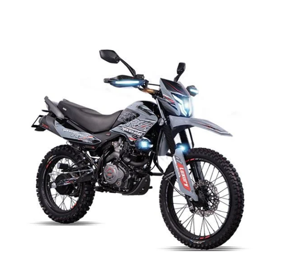 MOTOCICLETA REVENGE 220CC GRIS VELOCI (2025)